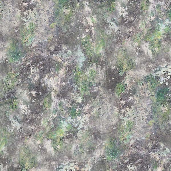 Grey Moss and Rocks Texture