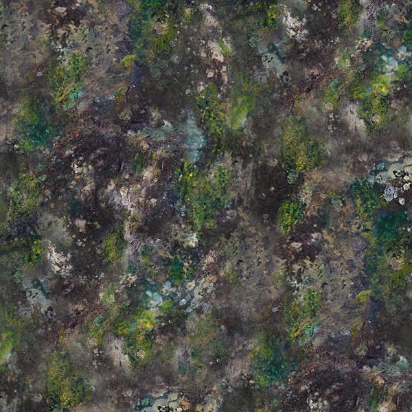 Dark Moss and Rocks Texture