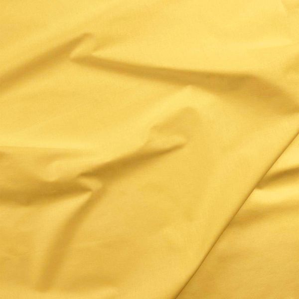 Painter's Palette Solid - Mais