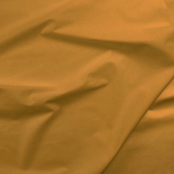 Painter's Palette Golden Rod