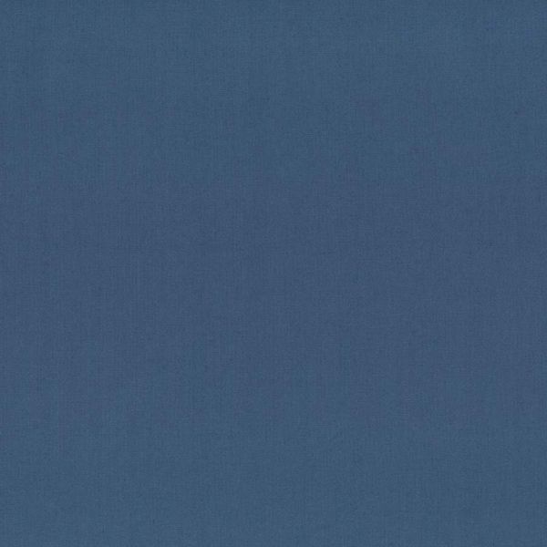 Painter's Palette Solid - Revel Blue