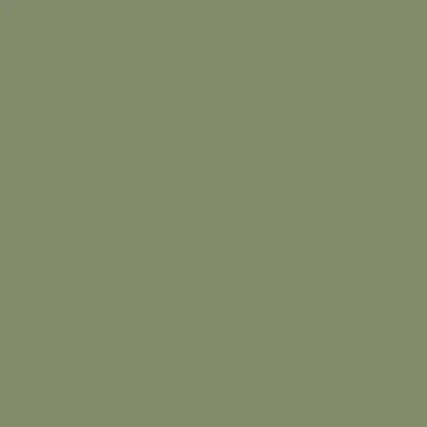Painter's Palette Solid - Sage Green