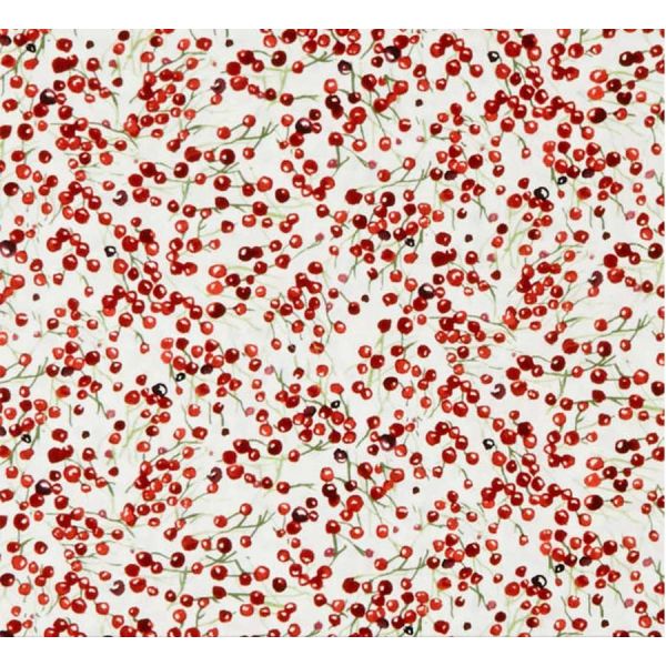 Red Winterberries on White