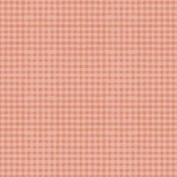 Peach Gingham Checks
