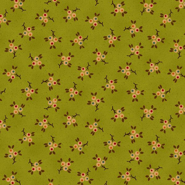 Kim Diehl Kiwi Berry Springs