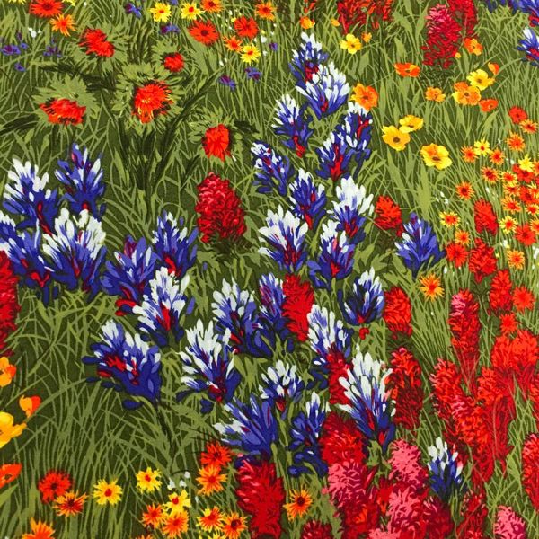 Southwest Texas Wildflowers