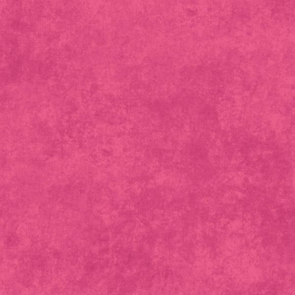  Shadow Play Rose