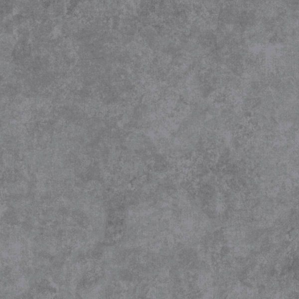 Shadow Play Greyhound Grey