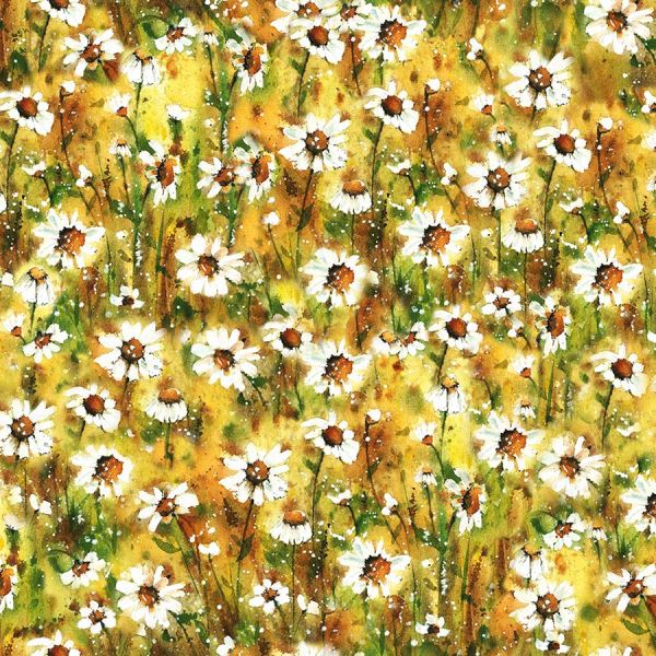  Autumn Daisy's 