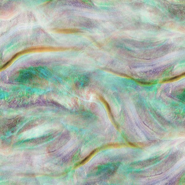 Abalone Luminous Love