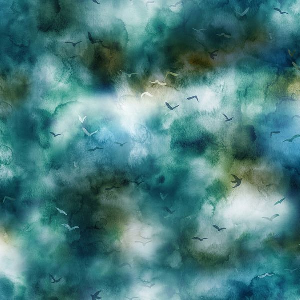  Sky - Starry Nights 